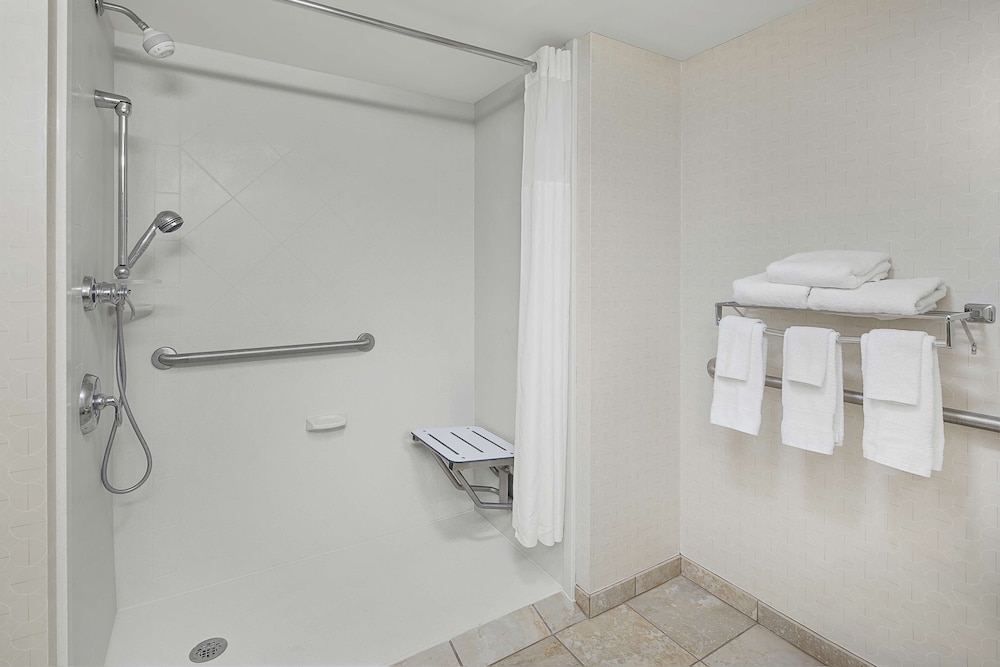 Room, 1 King Bed, Accessible (Roll-In Shower, Mobility & Hearing) - Photo 4