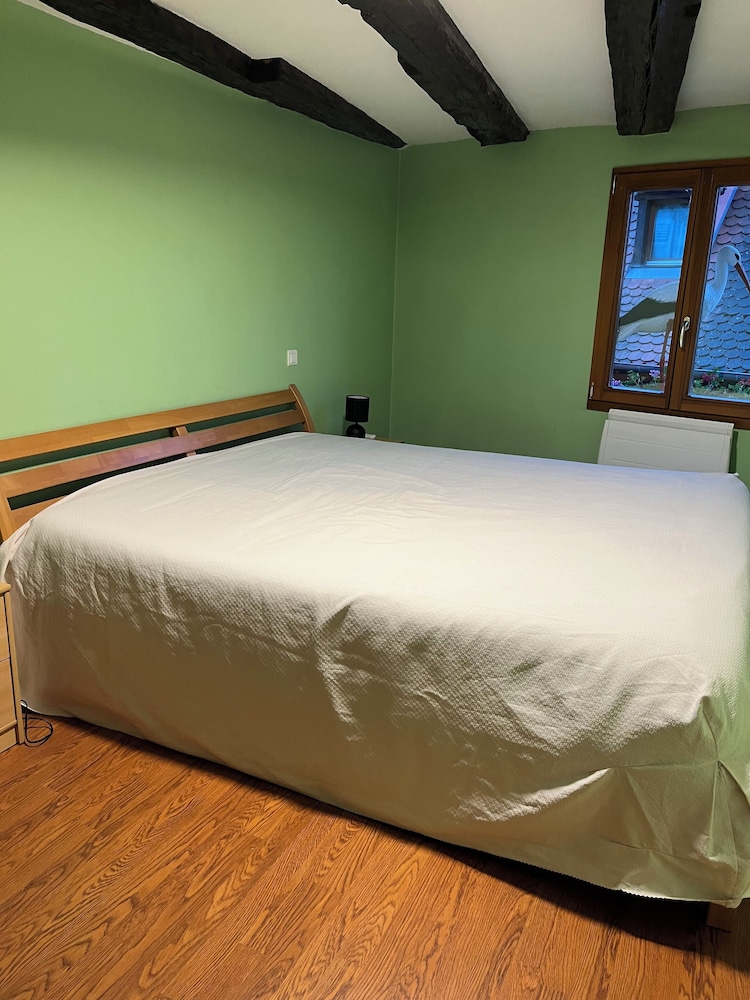 Comfort Studio
