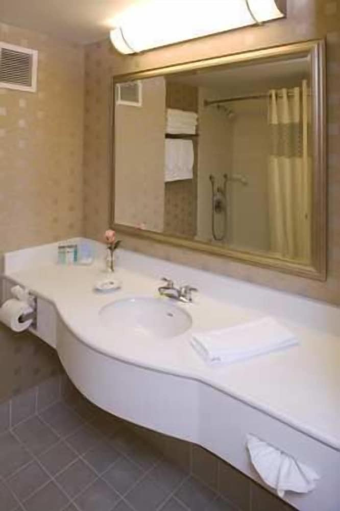 Room, 1 King Bed, Accessible (Mobility & Hearing, Roll-In Shower)