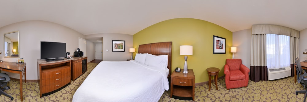 Room, 1 King Bed, Accessible - Photo 4