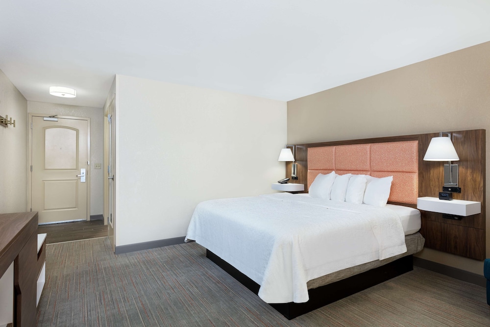 Studio, 1 King Bed, Accessible, Non Smoking (Mobility & Hearing, Roll-In Shower) - Photo 3