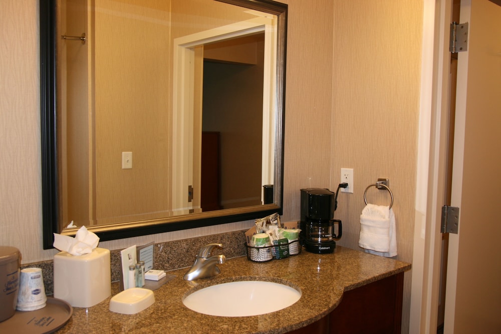 Room, 1 King Bed, Accessible, Non Smoking (bathtub) - Photo 4