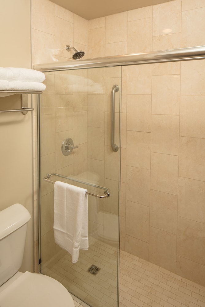 Standard Room, 1 King Bed, Lake View, Courtyard Area photo 2