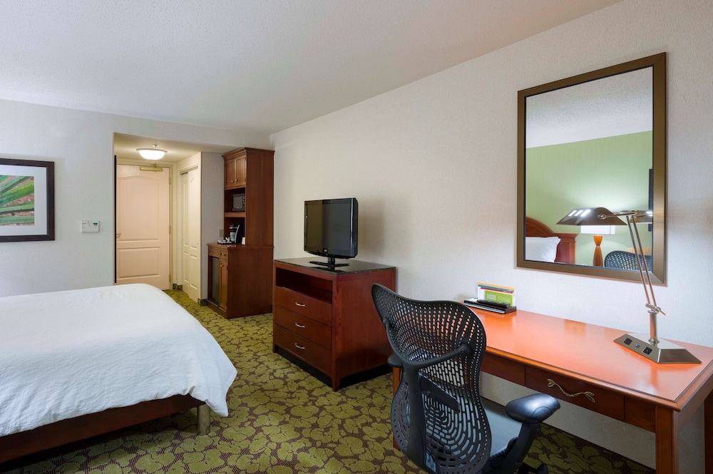 Room, 1 King Bed, Accessible (Mobility & Hearing, 3x3 Shower) - Photo 4