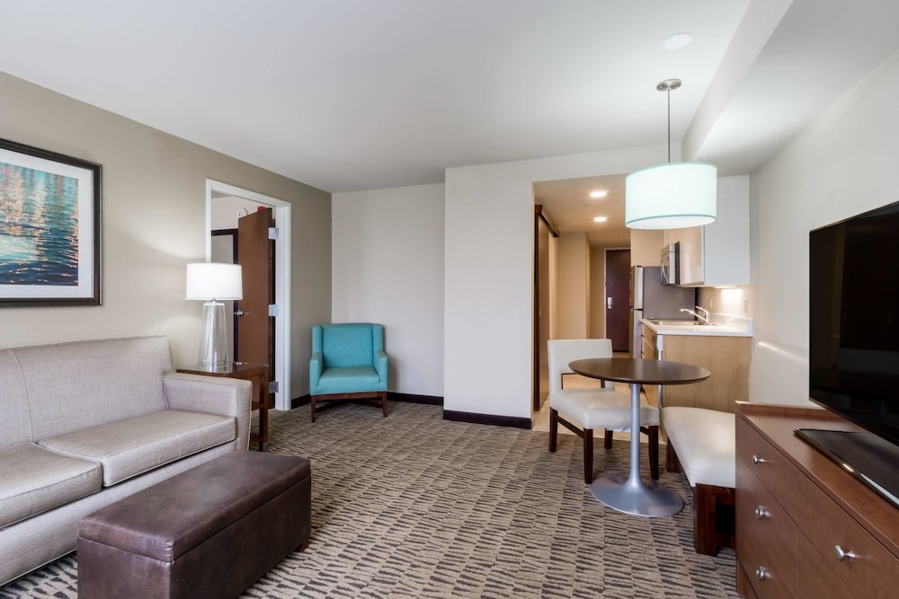 Suite, 1 King Bed