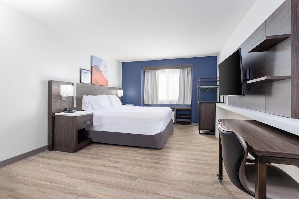 Room, 1 King Bed, Accessible (Mobility, Roll-In Shower) - Photo 1