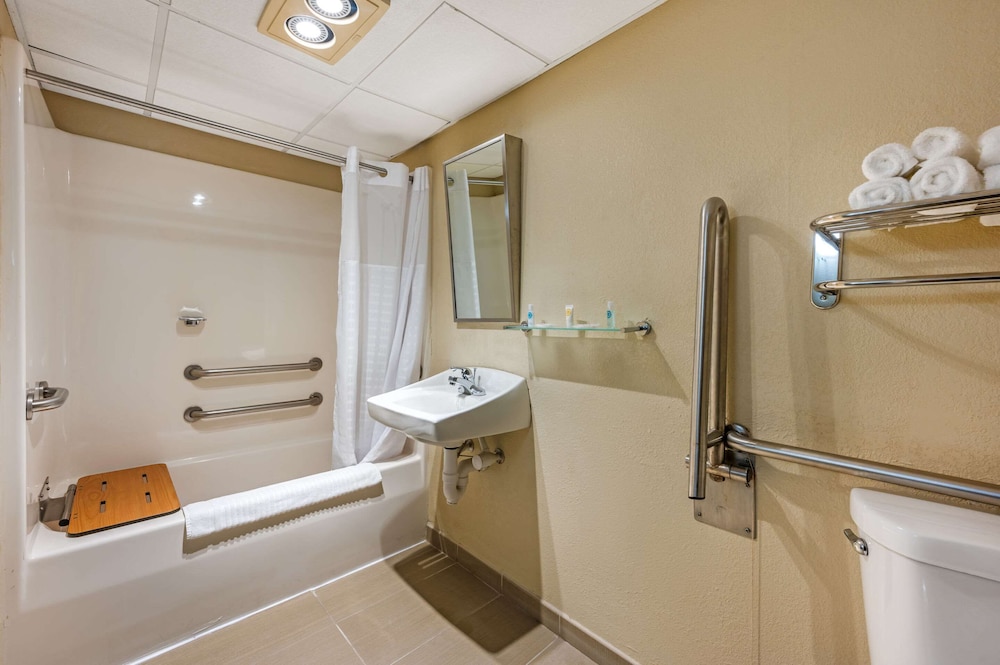 Suite, 1 King Bed with Sofa bed, Accessible, Non Smoking (Efficiency) - Photo 4