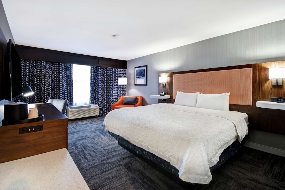 Room, 1 King Bed, Non Smoking - Photo 5