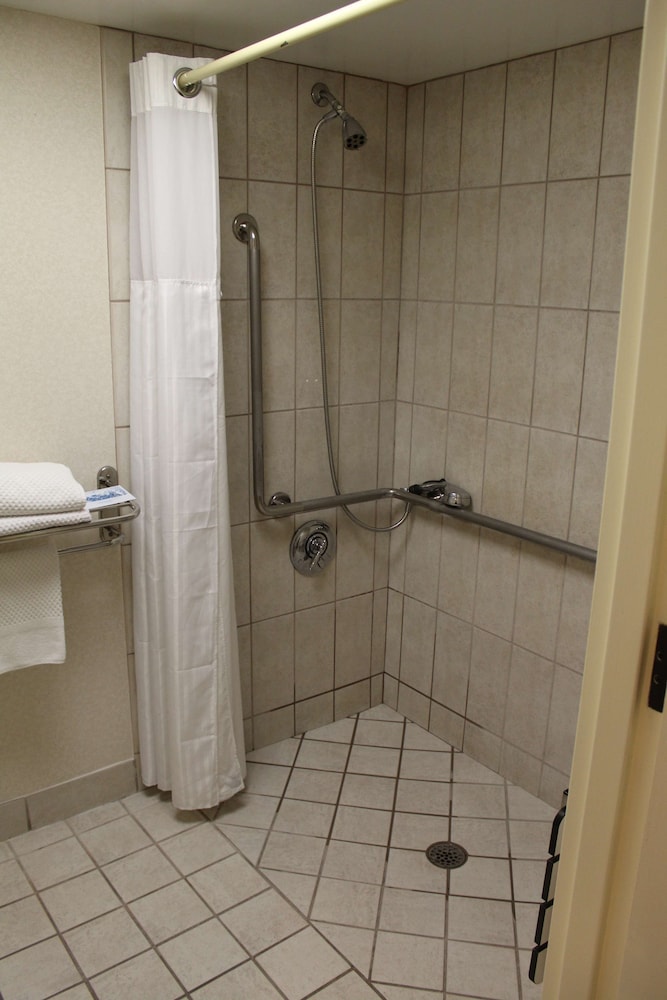 Room, 1 King Bed, Accessible (Mobility & Hearing, Roll-in Shower) - Photo 9