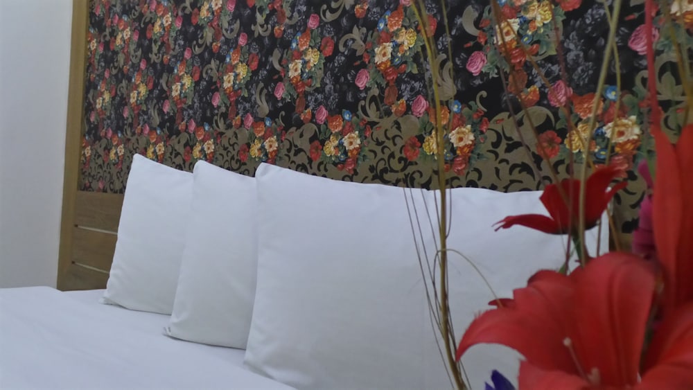 Premium Single Room