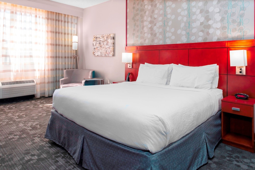 Room, 1 King Bed with Sofa bed (Hearing Accessible) - Photo 1
