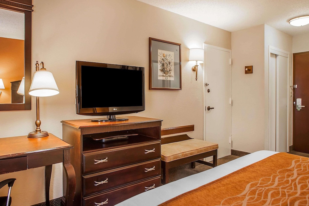 Suite, 1 King Bed with Sofa bed, Non Smoking (Upgrade), photo 6
