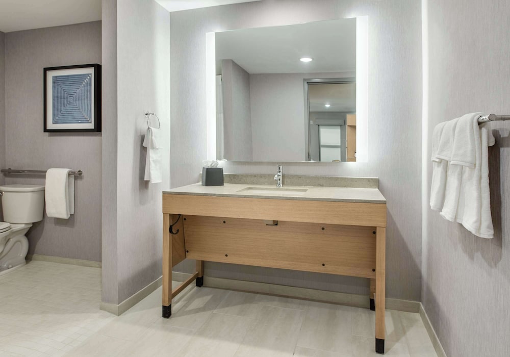 Room, Accessible (Roll-In Shower) photo 3