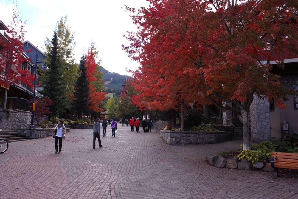 Whistler Village - Best Location - Spacious, Billede 27