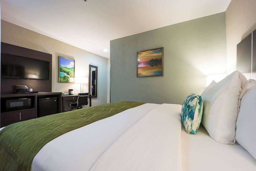 Standard Room, 1 King Bed, Non Smoking - Photo 1