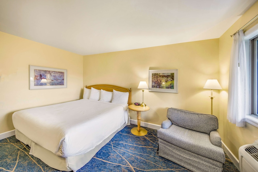 Standard Room, 1 King Bed, Accessible, Lake View photo 1