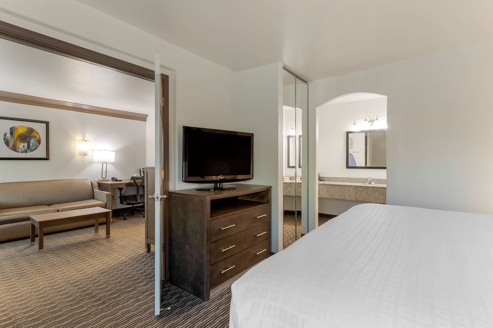Suite, 1 King Bed, Non Smoking, Refrigerator & Microwave (With Sofabed) - Photo 2