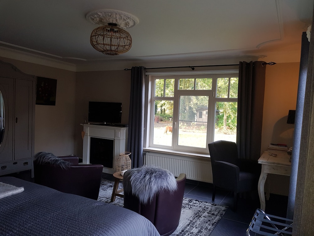 Deluxe Room photo 3