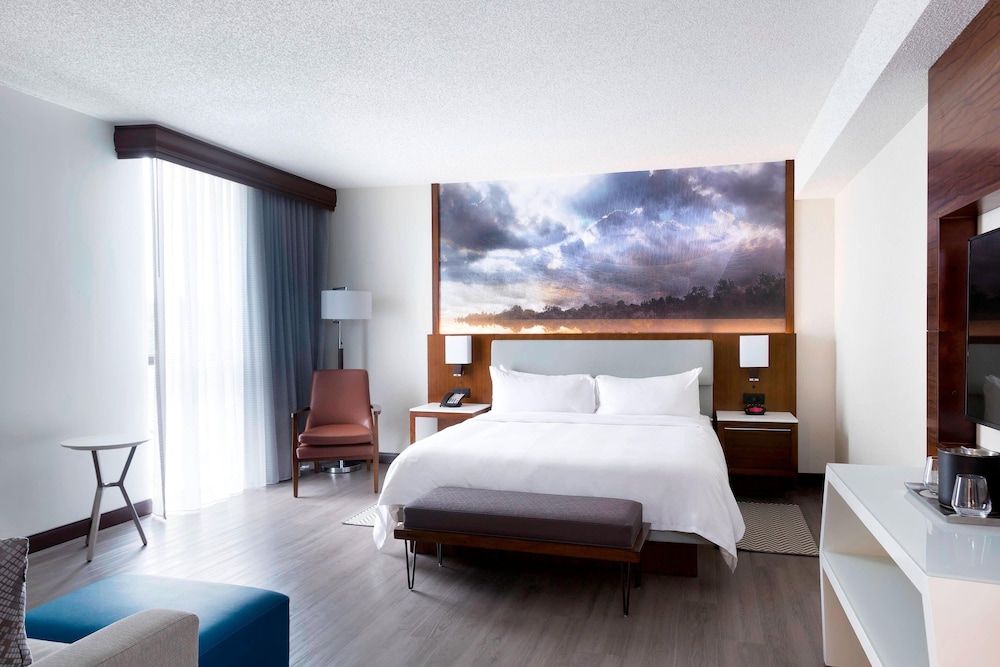 Junior Suite, 1 King Bed photo 2