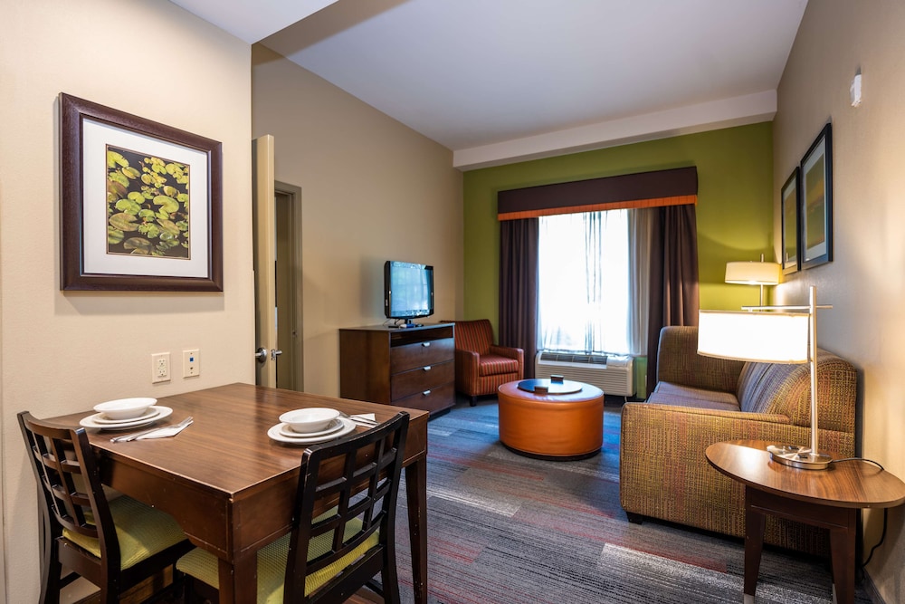 Suite, 1 King Bed, Non Smoking - Photo 1