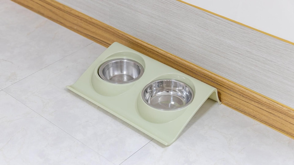Basic Room, 1 Bedroom (105( Dog O )) - Photo 8