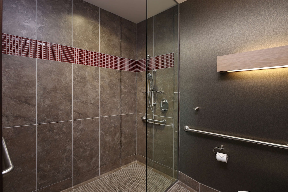 Standard Room, 1 King Bed, Accessible (Roll-In Shower) - Photo 3