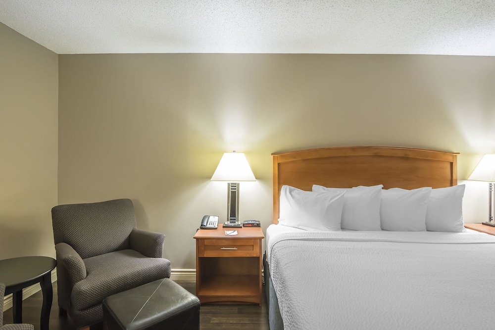 Business Room, 1 King Bed - Photo 2
