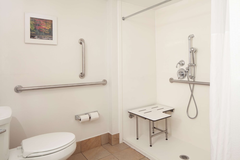 Room, 1 King Bed, Accessible (Mobility & Hearing, Roll-in Shower) - Photo 7