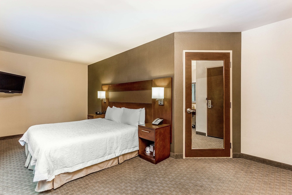 Room, 1 King Bed, Accessible, City View (Bathtub)