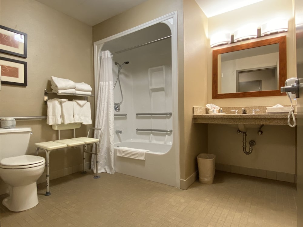 Business Room, 1 King Bed with Sofa bed, Accessible, Non Smoking - Photo 6