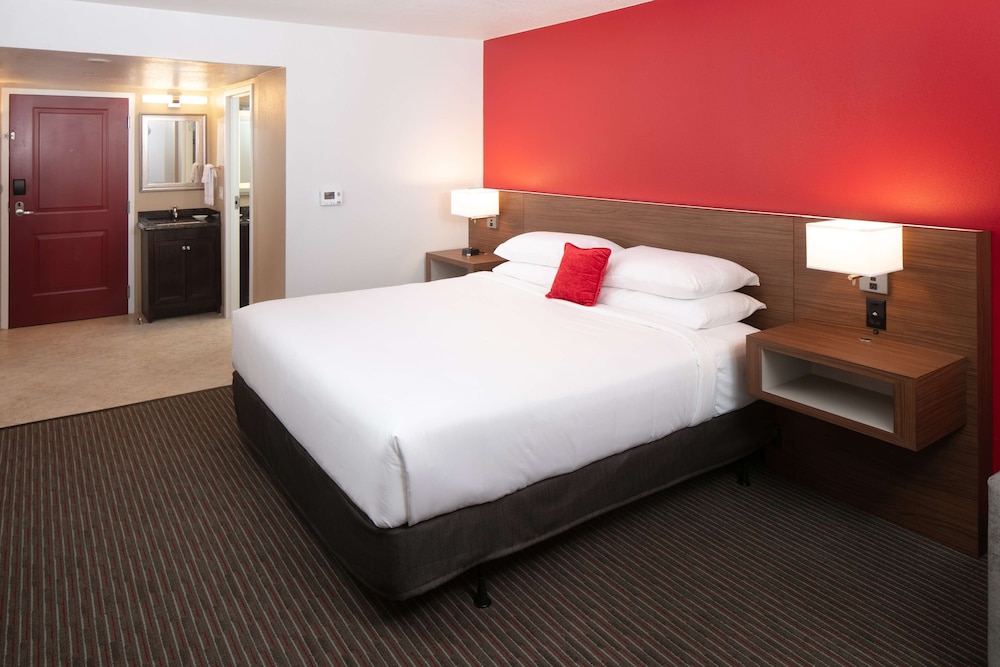 Standard Room, 1 King Bed with Sofa bed photo 2