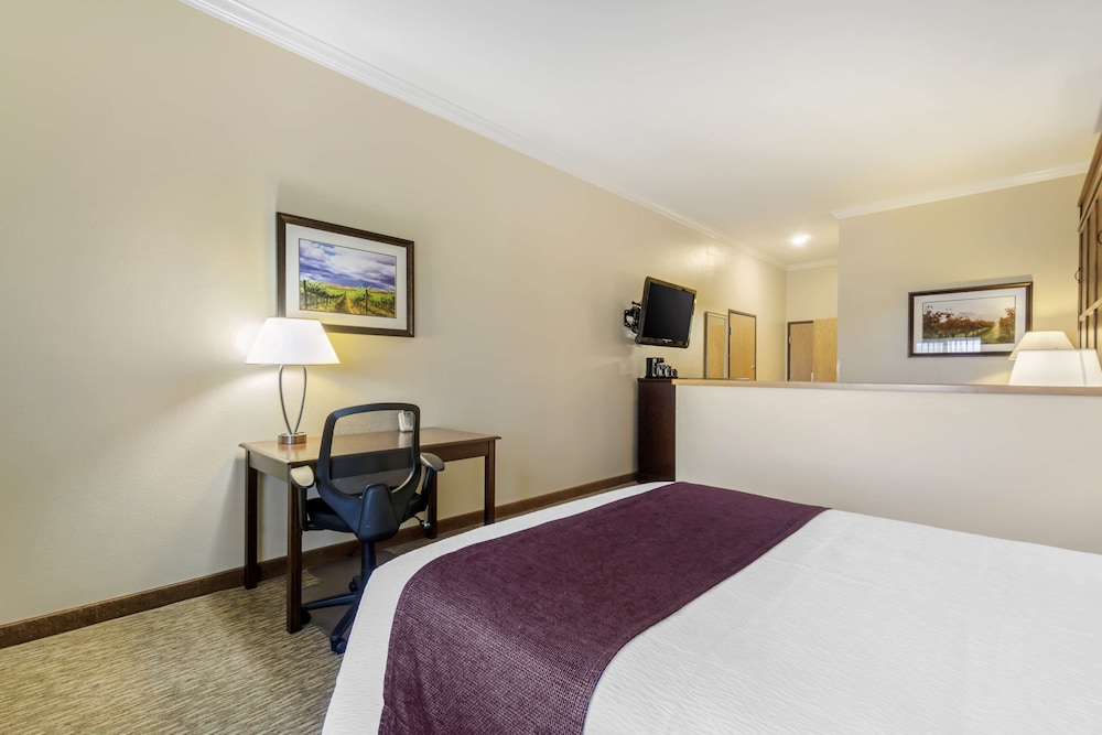 Standard Room, 1 Queen Bed, Accessible, Refrigerator & Microwave photo 2