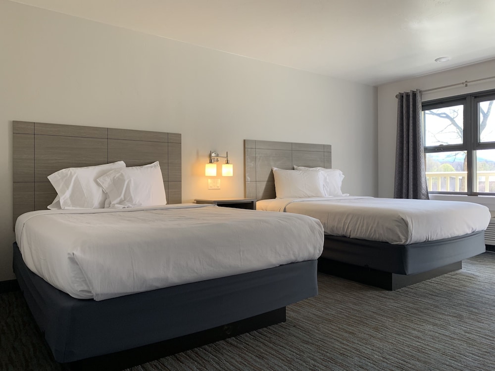 Premium Studio Suite, 2 Queen Beds, Refrigerator & Microwave, Courtyard View (not pet friendly) photo 2