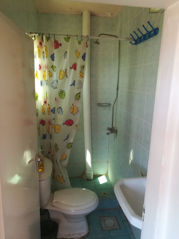 Single Room photo 3
