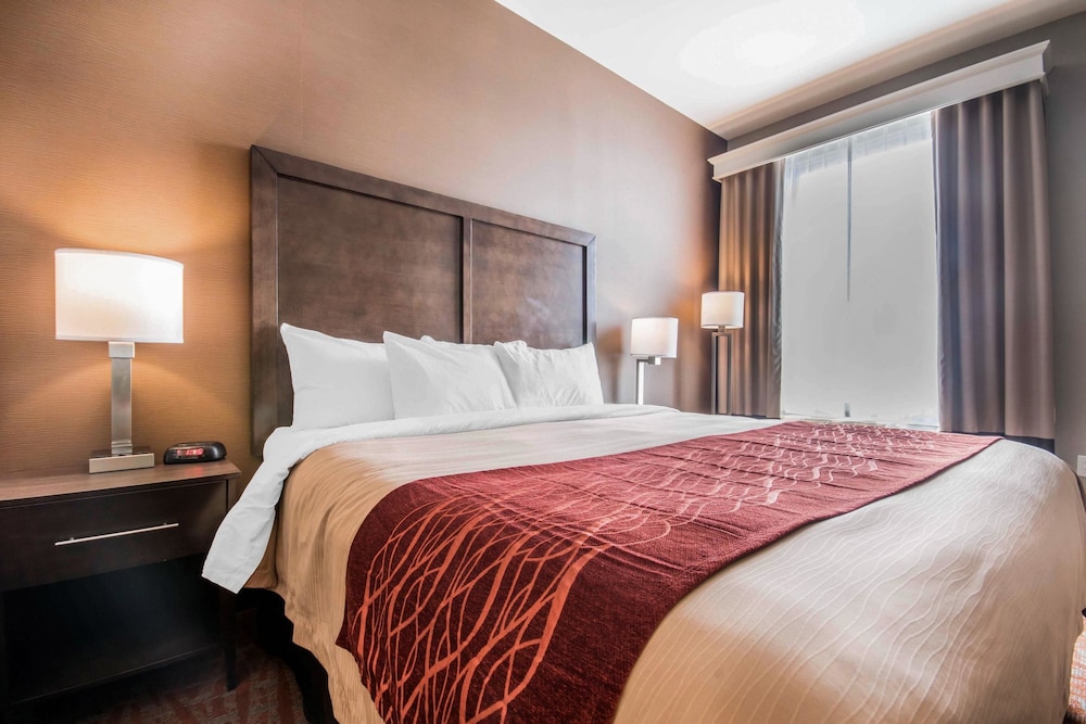 Suite, 1 King Bed with Sofa bed, Non Smoking (2 Person Sofa Bed)
