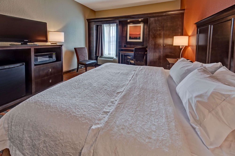 Room, 1 King Bed, Accessible - Photo 4