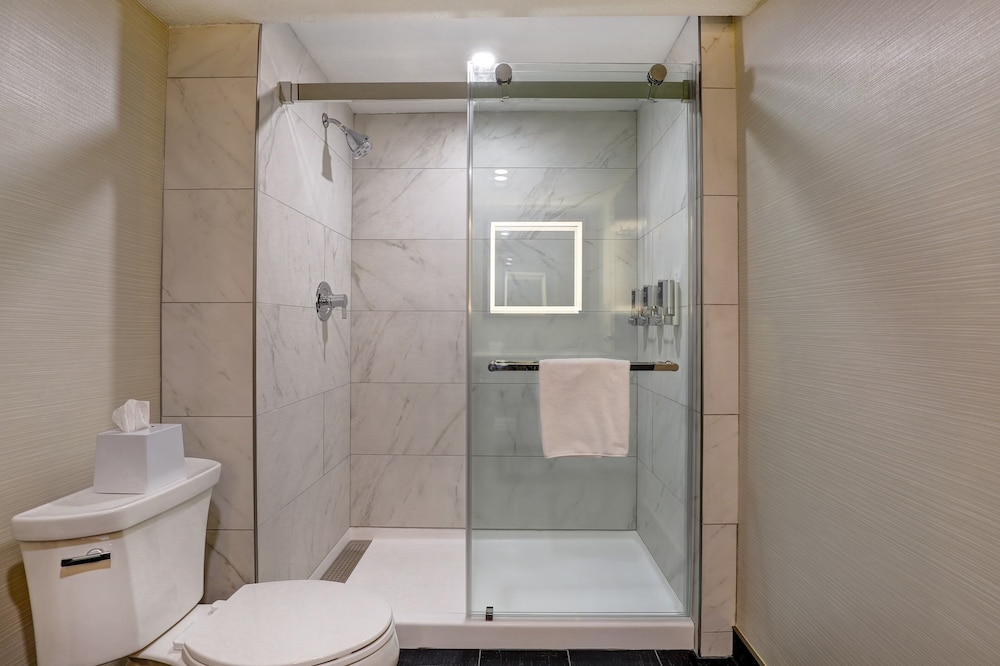 Suite, 1 Bedroom - Photo 8
