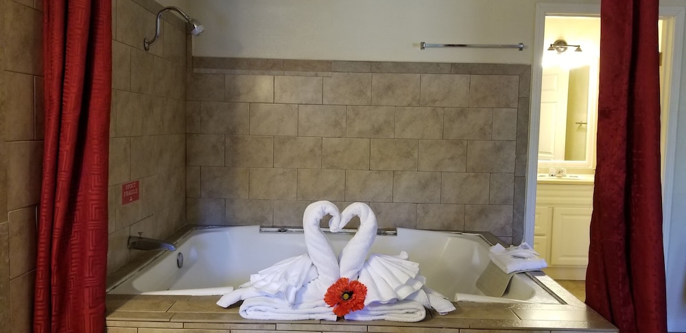 Deluxe Single Room photo 2