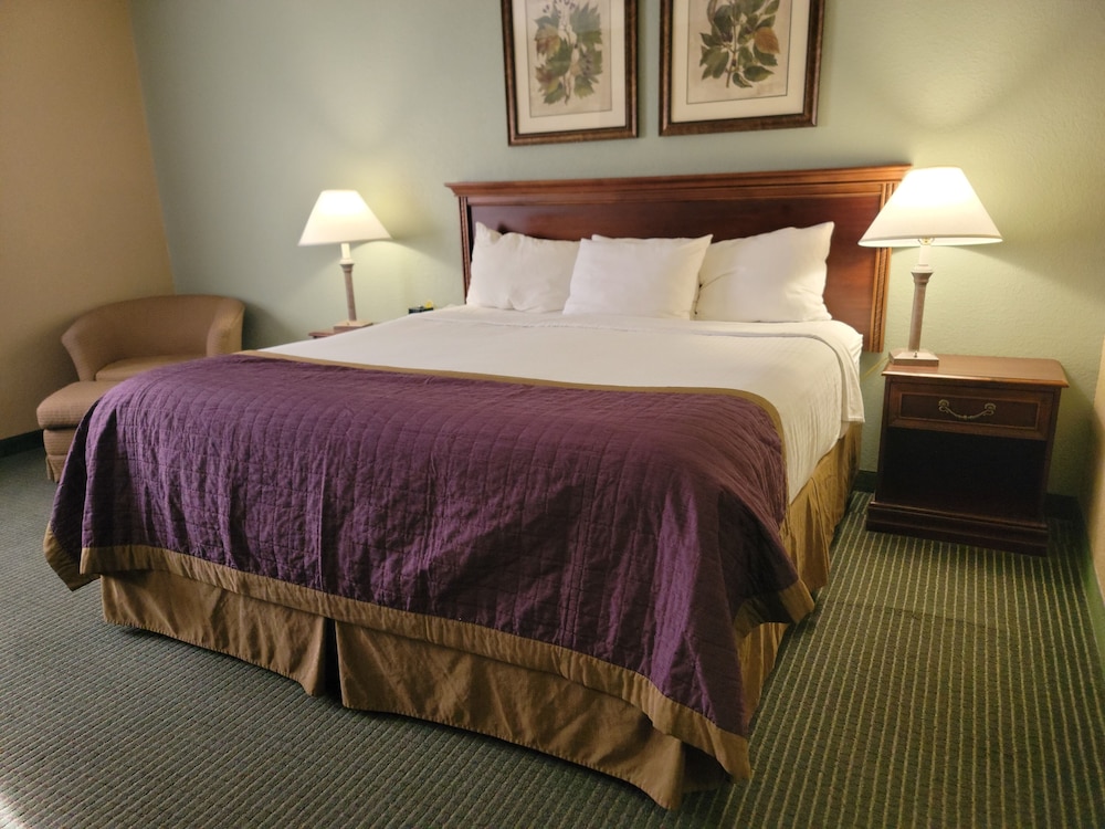 Deluxe Suite, 1 King Bed with Sofa bed photo 2