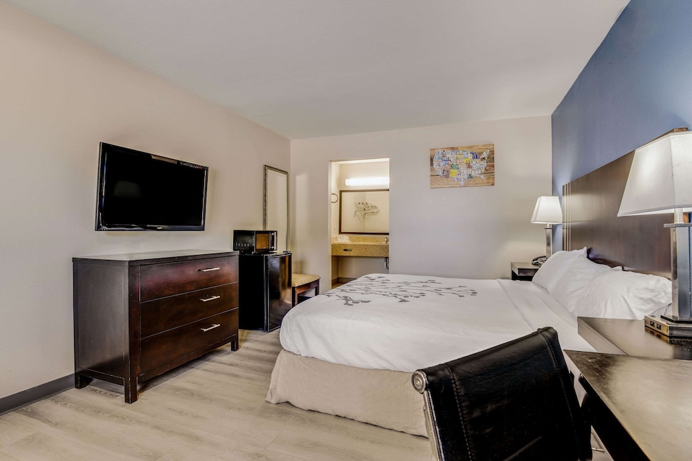 Standard Room, 1 King Bed, Smoking - Photo 8
