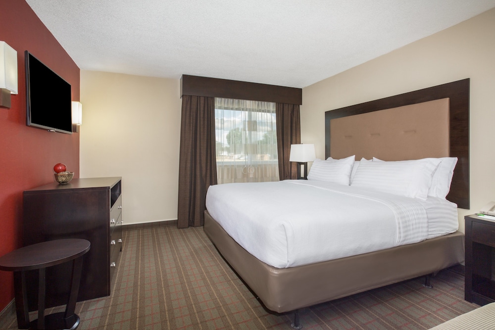 Suite, 1 King Bed, Accessible (Hearing, Roll-In Shower) photo 2