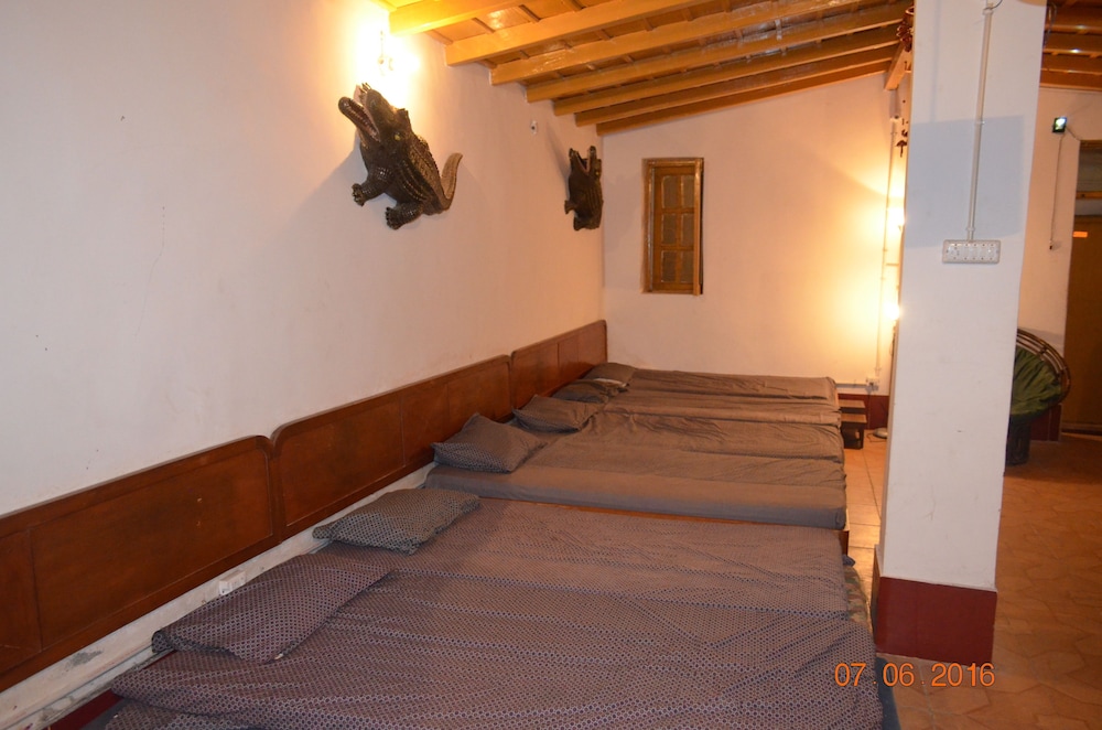 Classic Shared Dormitory, 2 Bedrooms photo 2