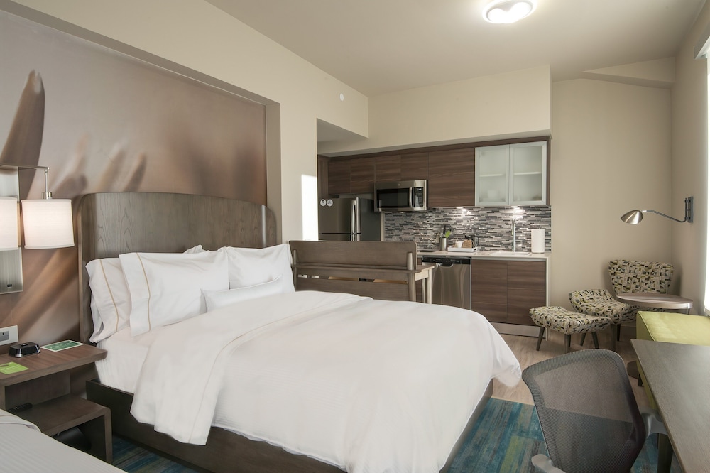 Studio, 1 Double Bed (Mobility/Hearing Access, Roll-in Shwr) photo 3