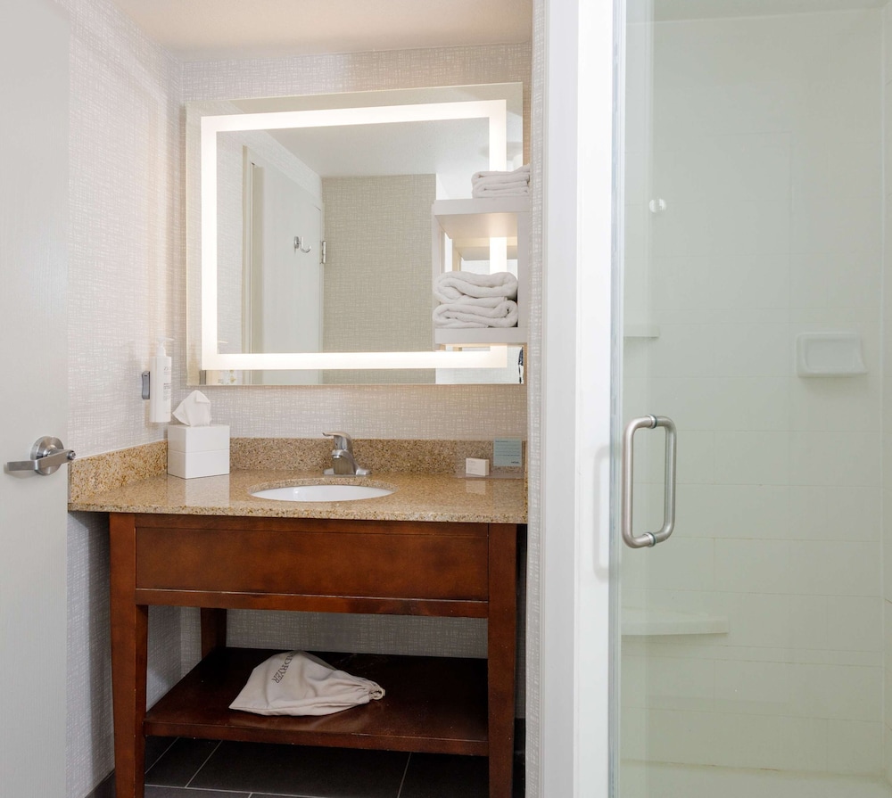 Room, 1 King Bed with Sofa bed (Shower Only) - Photo 4