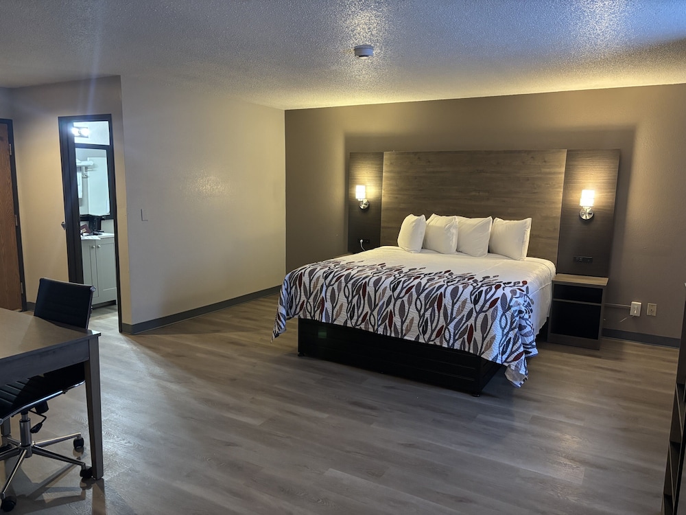 Suite, 1 King Bed, Non Smoking - Photo 1
