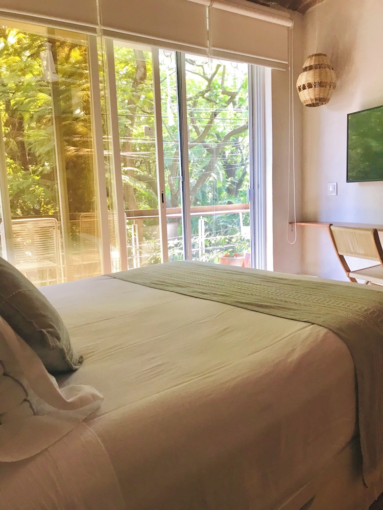 Basic Suite photo 2