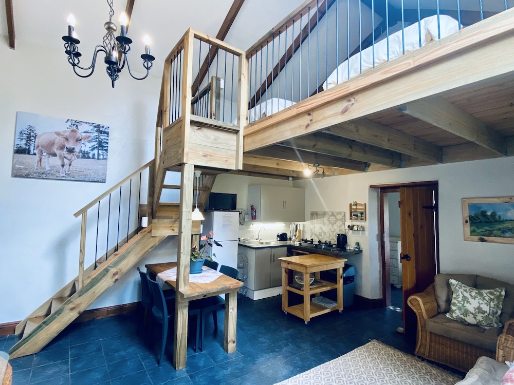 Macaw Self-Catering Suite photo 1