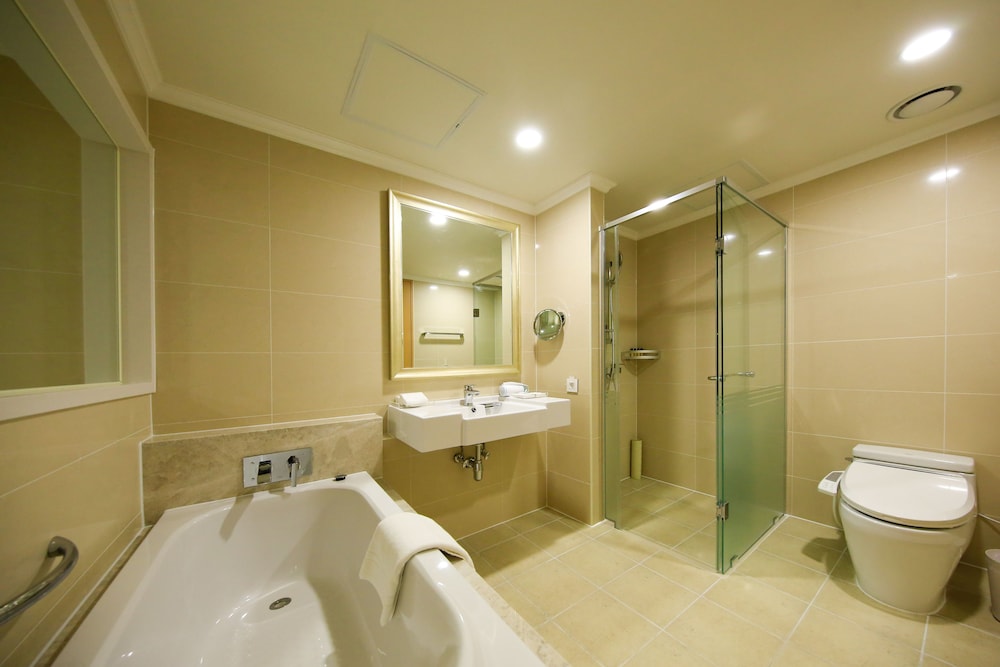 Deluxe Double Room (Hotel) photo 3