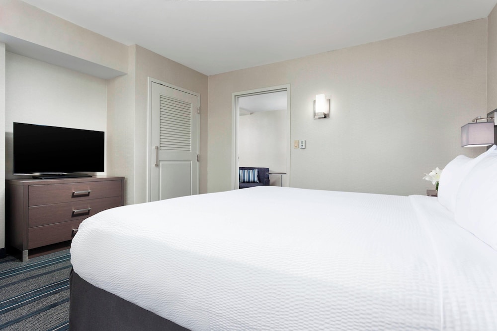 Suite, 1 King Bed with Sofa bed