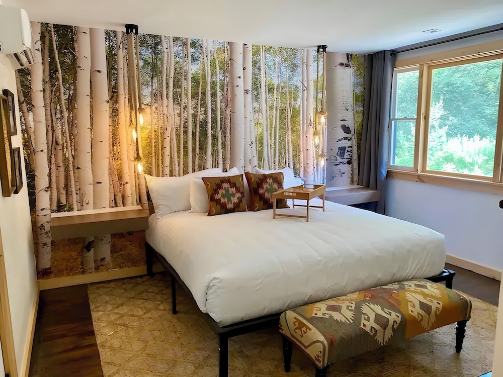 Room, 1 King Bed